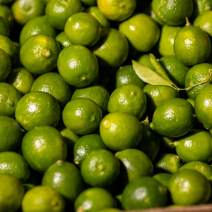 
            
                Load image into Gallery viewer, Mexican Lime (6-pack)-  Backordered December 10th, 2023
            
        